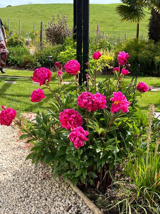 Retreat At The Knowe Auchincruive Estate Bed and breakfast Ayr