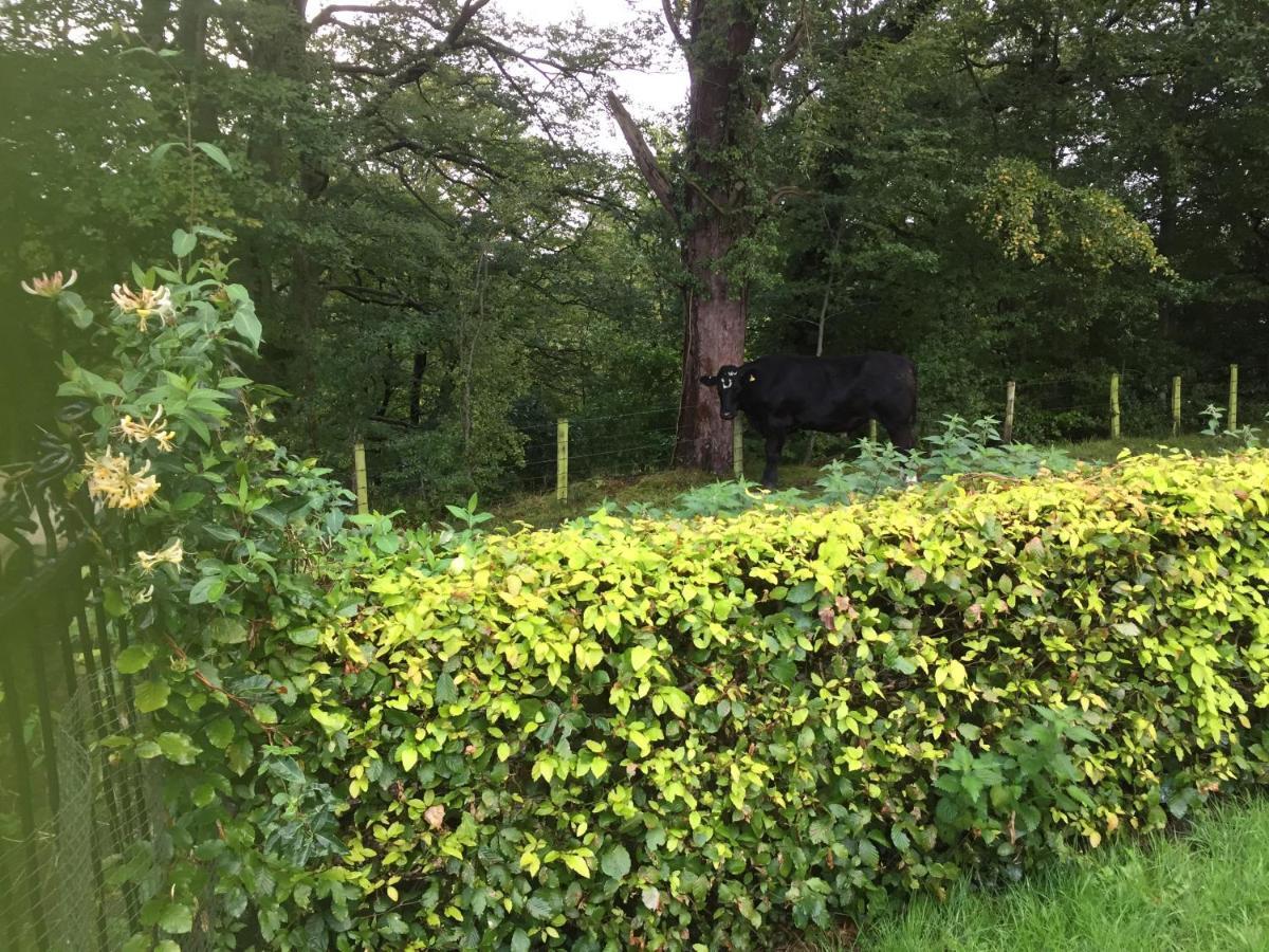 Retreat At The Knowe Auchincruive Estate Bed and breakfast