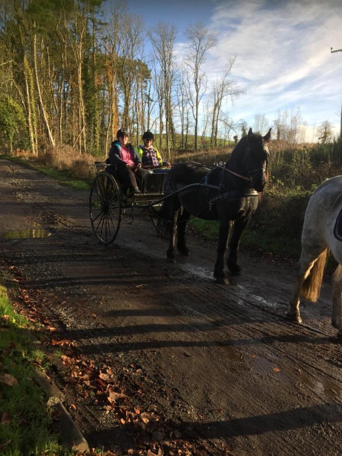 Retreat At The Knowe Auchincruive Estate 3*
