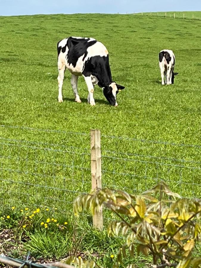 Retreat At The Knowe Auchincruive Estate 3* Ayr